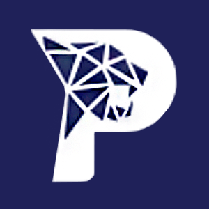 PARDUS PORTFÖY YİRMİNCİ HİSSE SENEDİ SERBEST FON (HİSSE SENEDİ YOĞUN FON)
