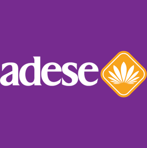 Adese AVM