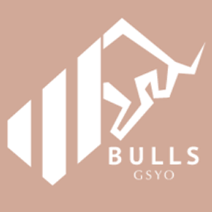 Bulls Girişim Sermayesi Yatırım Ortaklığı A.Ş.