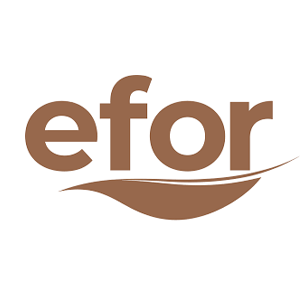 Efor Yatırım Sanayi Ticaret A.Ş.