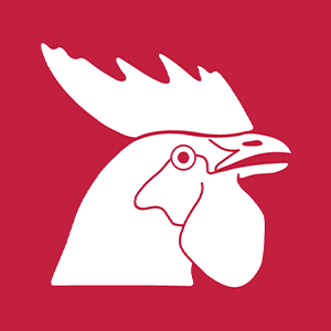 Horoz Lojistik